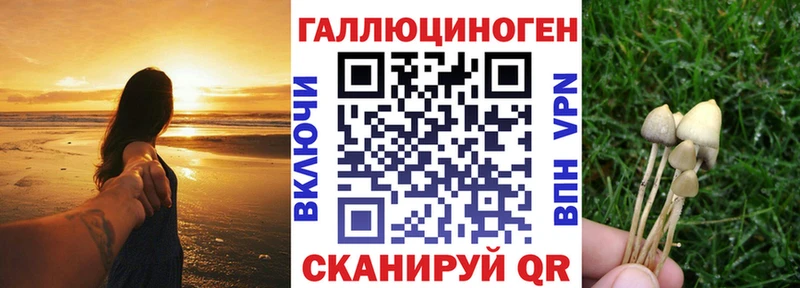 Галлюциногенные грибы MAGIC MUSHROOMS  закладки  Щёкино 